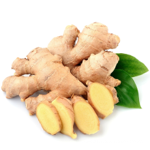 2021New Crop Export Chinese Fresh Organic Ginger For Sale